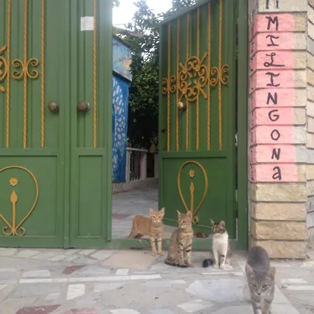 بيت شباب Milingona Center