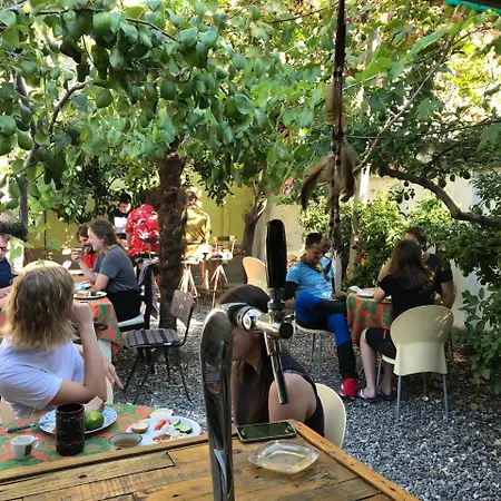 بيت شباب Milingona Center تيرانا