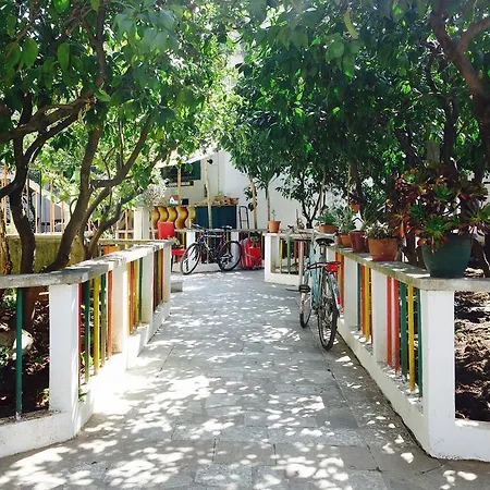 Milingona Center Hostel *