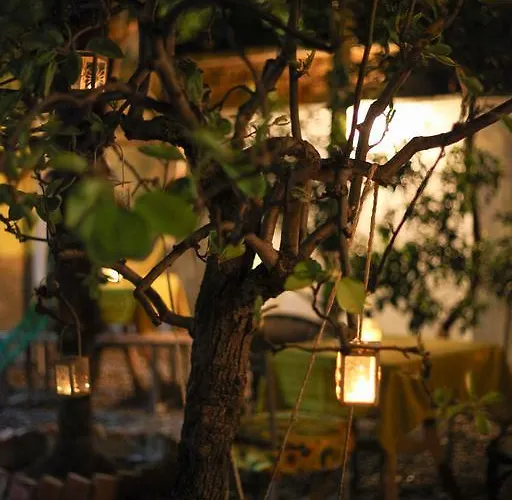 Milingona Center * Tirana