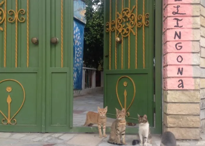 Хостел Milingona Center